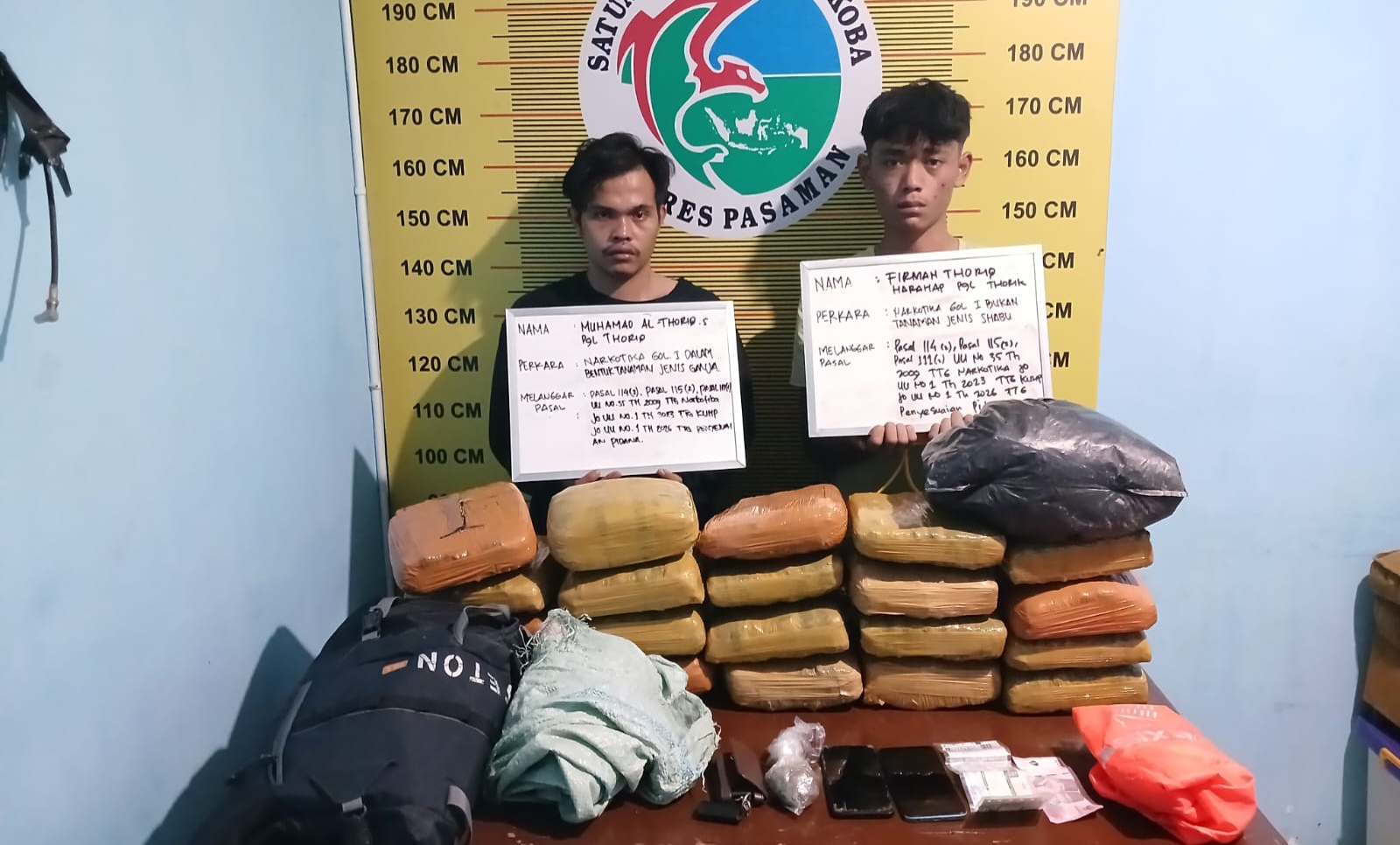 Polres Pasaman Membuahkan Hasil Menangkap Dua Orang Diamankan Bawa Puluhan Paket Ganja di Pasaman.