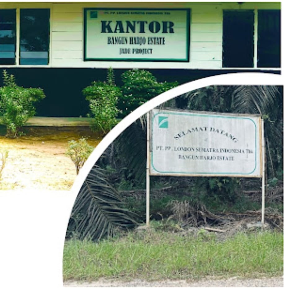 Demi Keadilan Warga Desa Bangun Harja Desak Audit Lahan Plasma PT.Lonsum dan Penyelesaian Ganti Rugi Lahan.