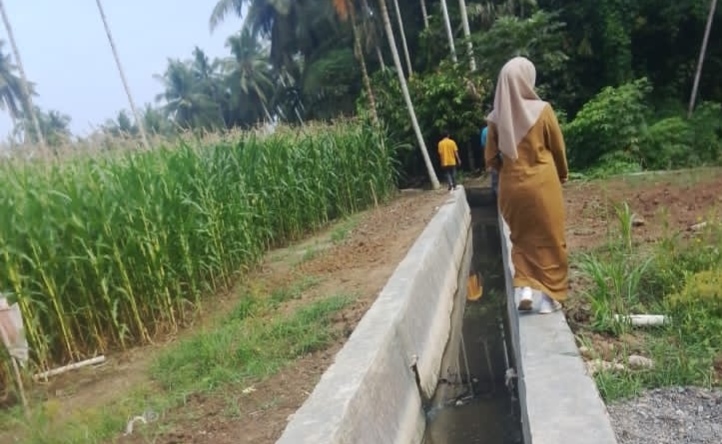 Wujudkan Semangat Gotong Royong, Warga Jorong 3 Pertanian Bangun Bondar Sawah Sepanjang 64 Meter.