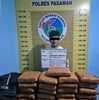 Tim Elang Timur Sat Resnarkoba Polres Pasaman Tangkap Kurir Ganja Di Padang Gelugur Asal Sijunjung Amankan 21 Paket Besar Ganja.